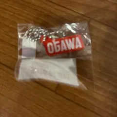 OGAWA キーホルダー　バレーボール　日本代表