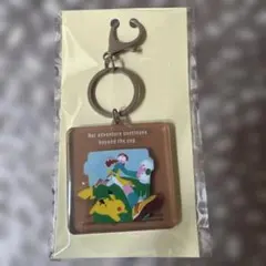 ポケモン スターバックス アクリルチャーム