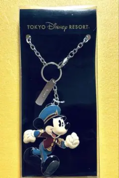 東京ディズニーリゾートアンバサダーホテル宿泊者限定 ミッキー ミニー