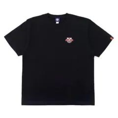 RB大宮アルディージャ 2015年J2優勝J1昇格記念Tシャツ・タオマフセット
