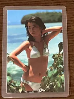 2026年最新】チェキ ビキニの人気アイテム - メルカリ