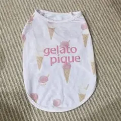 さくら様　ご専用