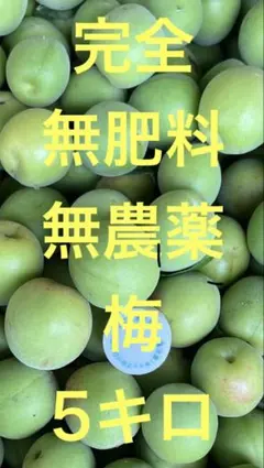 無肥料無農薬 青梅 「古城」 5キロ 【1】 - メルカリ
