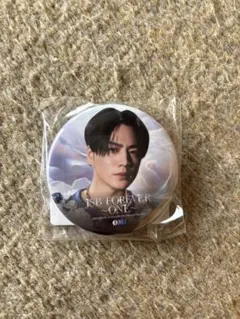 JSB FOREVER ONE ガチャØMI缶バッジ