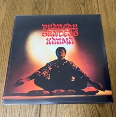 2025年最新】ファラオ サンダースの人気アイテム - メルカリ