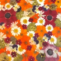 ♡new♡ ♡訳ありの押し花！大容量セット♡