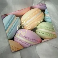 enoi マカロン 全色セット エノイ macaron マグ - メルカリ