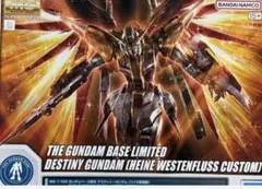 2025年最新】MG ハイネ専用デスティニーガンダムの人気アイテム - メルカリ