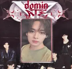 リノ 映画 dominATE スキズ EXPERIENCE トレカ タイ