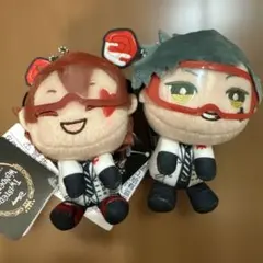 ディズニー ツイステッドワンダーランド ぬいぐるみマスコット 2体セット