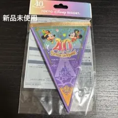 東京ディズニーリゾート 40周年 ドリームゴーラウンド ペナントのサムネイル