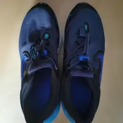 Nike DR072-400 キッズシューズ US 5Y