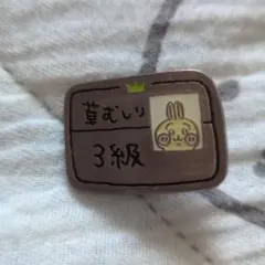 希少！ちいかわ CASETiFY MagSafe カードホルダー 草むしり - メルカリ