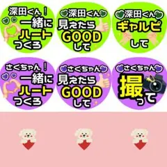 C様専用♡竜生 深田 ファンサ カンペ うちわ文字 名前うちわ 0108