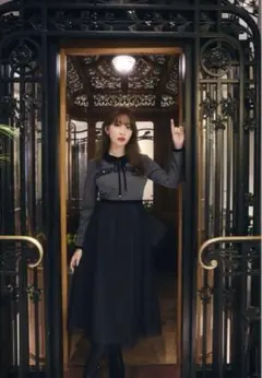 2026年最新】garnier pleated dressの人気アイテム - メルカリ