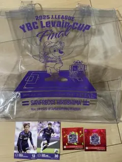 サンフレ 記念グッズ