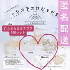 犬のけだまだま✨丸たれみみ＆チワワ 2個セット