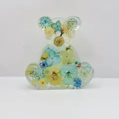 くまちゃんꯁꯧ固まるハーバリウム　オブジェ