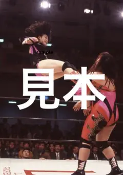 女子プロレス　立野記代写真