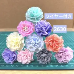 ソラフラワー　2630