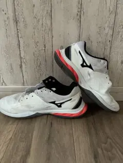 Mizuno バドミントンシューズ ウエーブファング 2 71GA231321のサムネイル