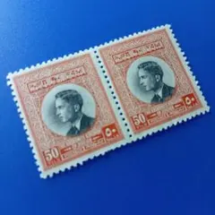 6199 外国切手 ヨルダン 1950年代 フセイン国王 デザイン 2枚未使用