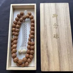 Item thumbnail for item 1c64ba48-467a-4b06-a5c1-93f1de306394