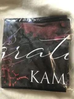 KAMIJO　グッズセット 2025年最新】kamijoの人気アイテム - メルカリ