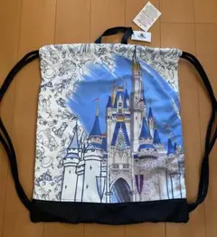 ディズニーワールド　ナップサック　巾着　WDW