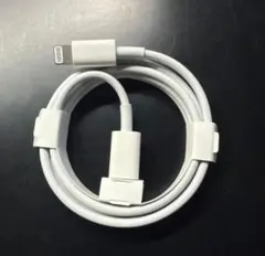 1 本 1M 即日発送IPhone充電器ライトニングケーブル -TYPE-C