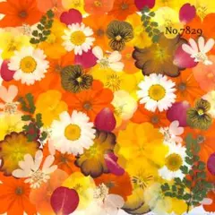 Miwa様 リクエスト 3点 まとめ商品