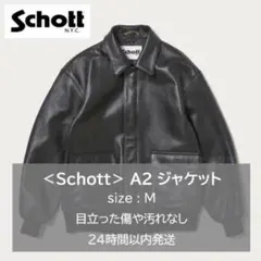 2025年最新】schott a2の人気アイテム - メルカリ