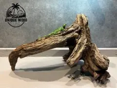 Item thumbnail for item e171c142-58a9-40a9-9f95-4b991591424e