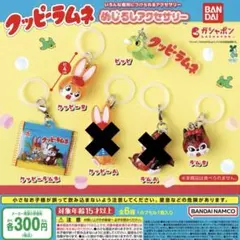 クッピーラムネ めじるしアクセサリー 4種セット