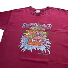 USA製 90s Disney スプラッシュマウンテン Tシャツ ヴィンテージ
