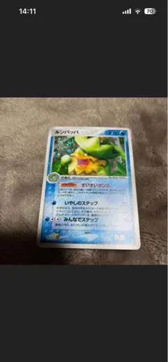 リクエスト品　 ルンパッパ フライゴン 2枚セット