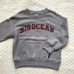 【値下げ】トレーナー 男の子110 テータテート