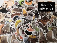 Item thumbnail for item 87069880-828f-48a8-b07b-947d32903c0a