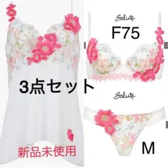 ワコール Wacoal サルート Salute 24SS 01G BTJ401