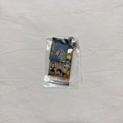 ワンピース ウエハース ミニチュアチャーム フランキー ONE PIECE