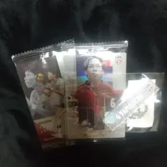 バレーボール日本代表 山内晶大 グッズセット