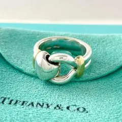 2026年最新】tiffany ノット リングの人気アイテム - メルカリ