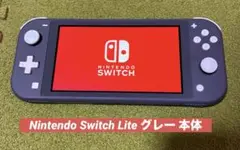 (動作確認済み)Nintendo Switch Lite グレー 本体