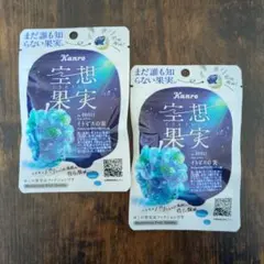 Kanro 空想果実 イトピスの実 ２袋のサムネイル