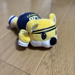 宇都宮BLEX✳︎ブレッキー
