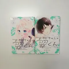 お姉ちゃんの翠くん 2巻セット