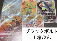 ブラックボルト　Nの筋書き　マモコ　メロエッタ　キュレムSR