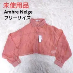 3122【未使用品】Ambre Neige 透け感 長袖 シャツ 夏服 春服 Fのサムネイル