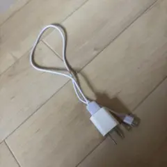 ホワイト USB Type-C 充電器