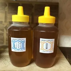 セール【非加熱・生はちみつ】百花蜜1000g&からすたらのき百花1000g(2本